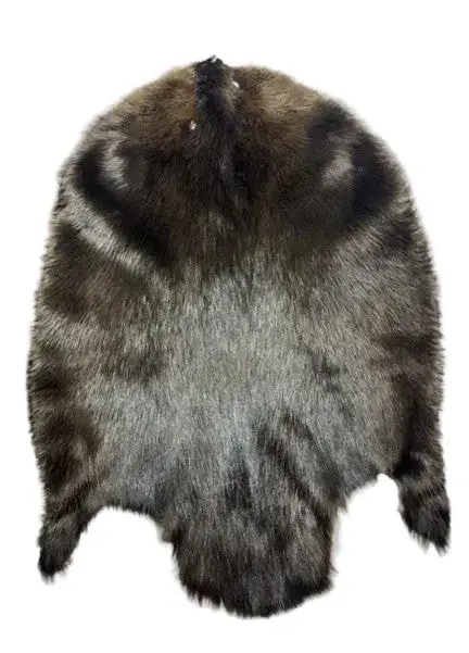 XL Eastern Dark Beaver Pelt