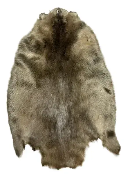XL Pale  Beaver Pelt