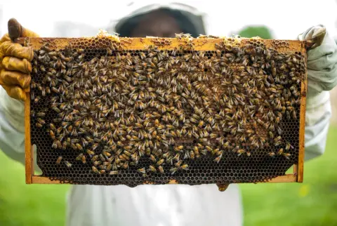 Hawksview Honey product photo