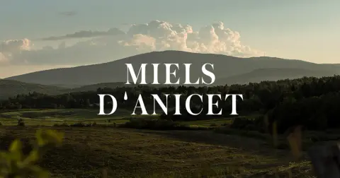 Miels d'Anicet product photo